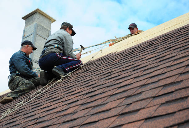 Best Roof Repair Services  in Converse, IN